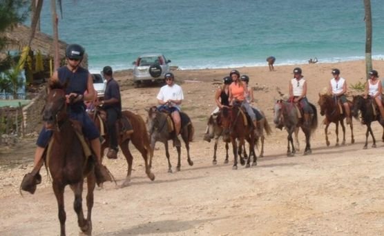 Cabalgata a caballos 