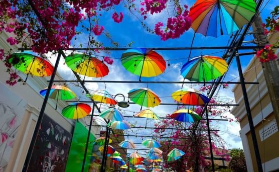 City Tour with countryside 