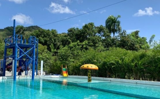 Las Avispas Country Work