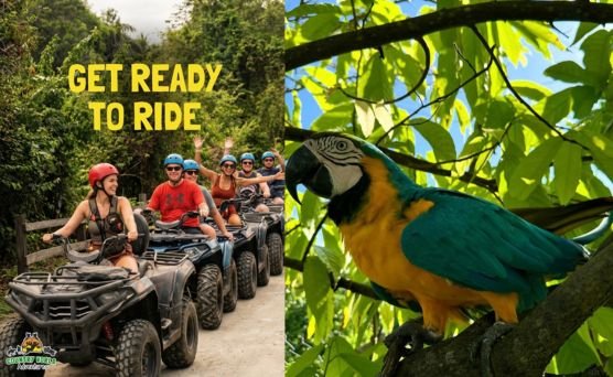 Las Avispas Country Work