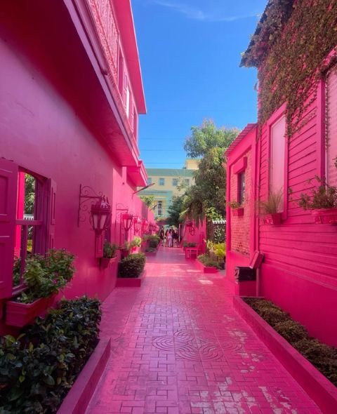 City Tour with countryside 