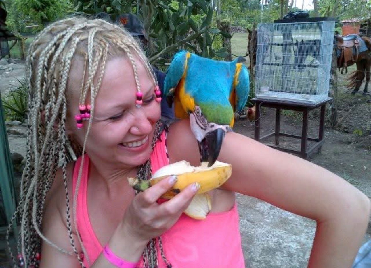 Las Avispas Country Work